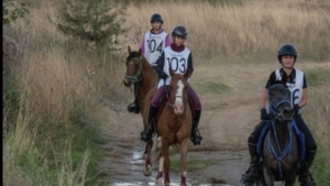 Ιππική αντοχή: Μεγάλη διεθνής διοργάνωση στον Ορχομενό