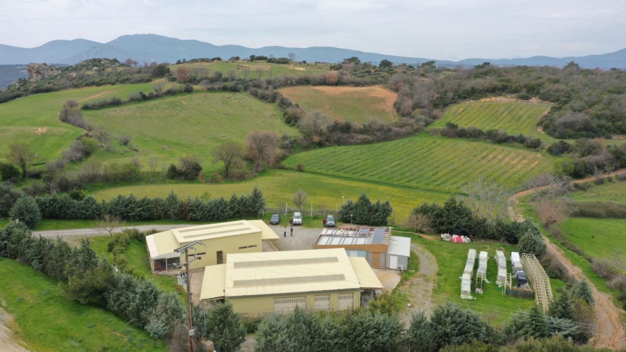 Με επίκεντρο τον άνθρωπο, τη διαφάνεια και το αύριο της Θράκης η «Μεταλλεία Θράκης»!