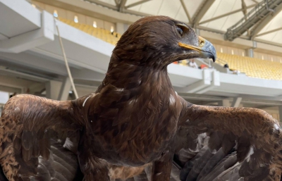 Το εντυπωσιακό βίντεο της ΑΕΚ με τον αετό να πετάει πάνω από την Αγία Σοφία (video)