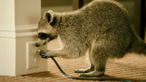 Trendάρει το #ΑΝΤ1+ αλλά για... τον λάθος λόγο