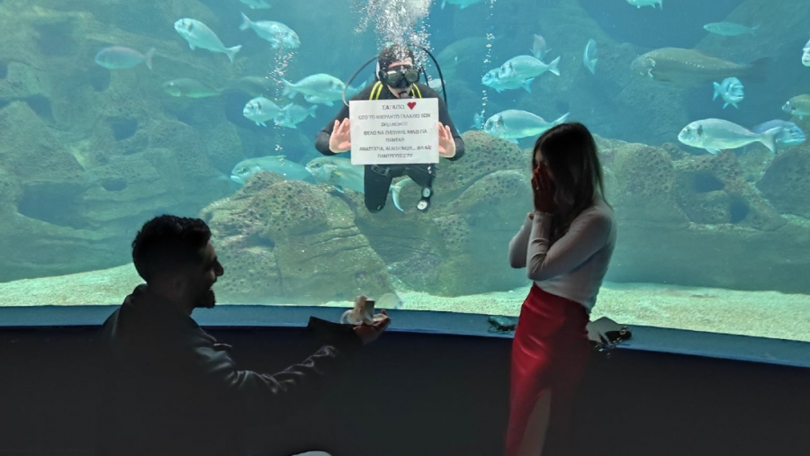 ΟΦΗ: Ο Πασαλίδης έκανε πρόταση γάμου στην αγαπημένη του με φόντο το… ενυδρείο!