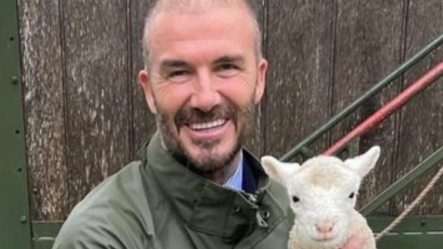 Ο Ντέιβιντ Μπέκαμ δε μπορεί να κρατήσει το πρόβατο γιατί έχει πολλούς… GOATS στην Ίντερ Μαϊάμι!