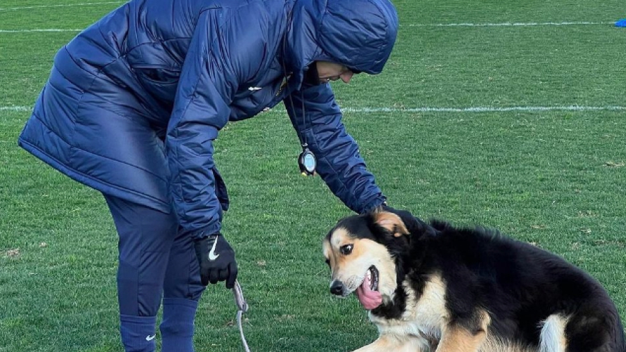 ΑΕΚ: Μαλέβο και Αλμέιδα παίζουν στο προπονητικό κέντρο των Σπατών (video)