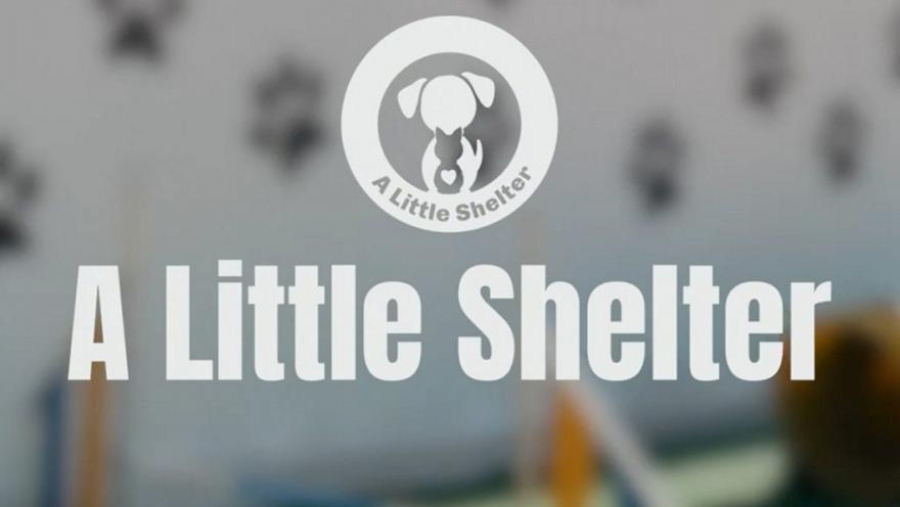 Παναθηναϊκός: Νέος χορηγός στη φανέλα ο οργανισμός «A Little Selter» (vid)