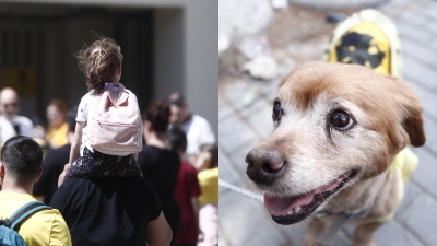 Σκυλάκια με «κιτρινόμαυρα» και παιδικά χαμόγελα στη μεγάλη γιορτή της ΑΕΚ για τα 100 χρόνια!