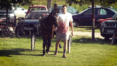 Γιόκιτς: «Μετά την απόσυρση μου θα εκπαιδεύω άλογα»