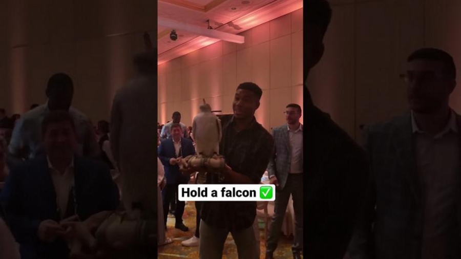 Ο Giannis τα έβαλε με ένα γεράκι και... έχασε! (video)