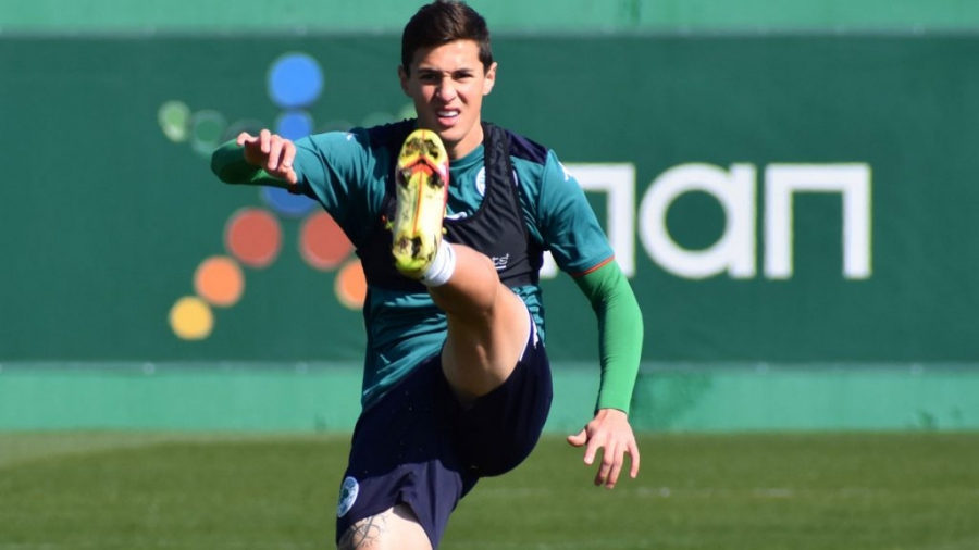 Παναθηναϊκός: Θεραπεία και «αγώνας δρόμου» για Μπρινιόλι